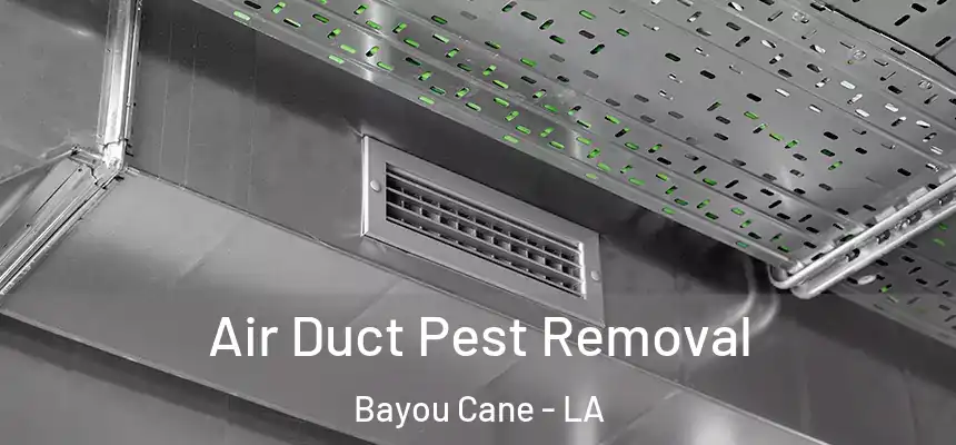 Air Duct Pest Removal Bayou Cane - LA