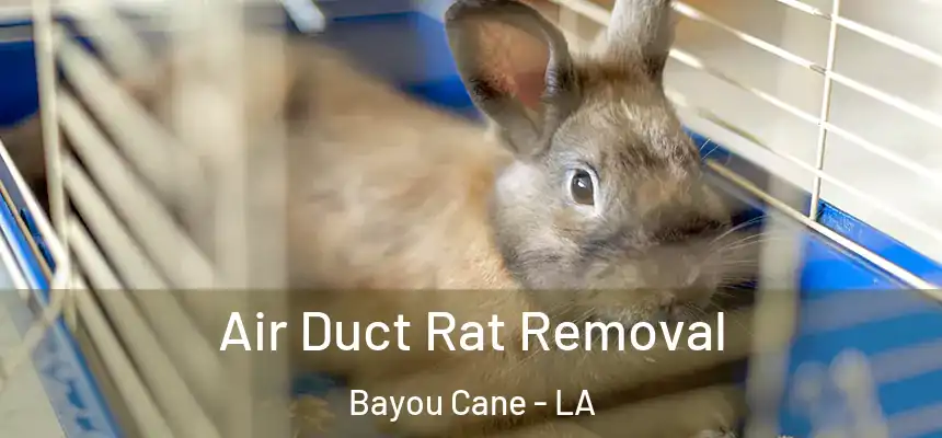 Air Duct Rat Removal Bayou Cane - LA