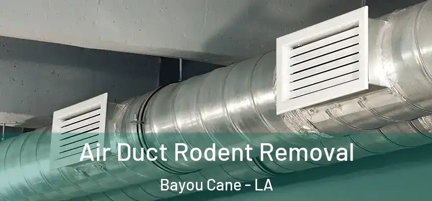 Air Duct Rodent Removal Bayou Cane - LA