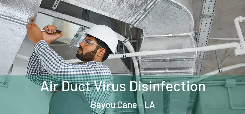 Air Duct Virus Disinfection Bayou Cane - LA