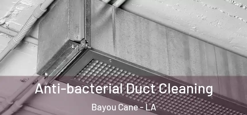 Anti-bacterial Duct Cleaning Bayou Cane - LA