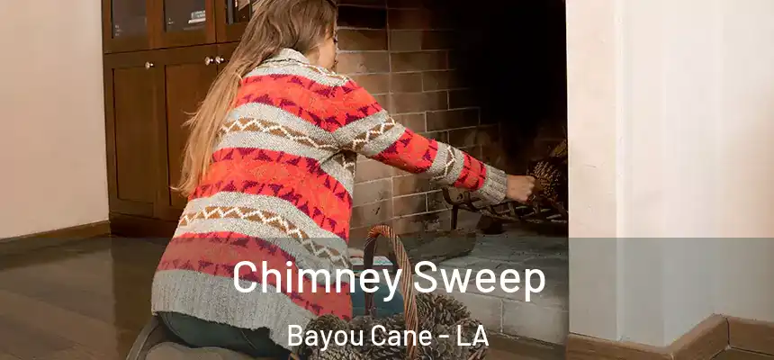 Chimney Sweep Bayou Cane - LA