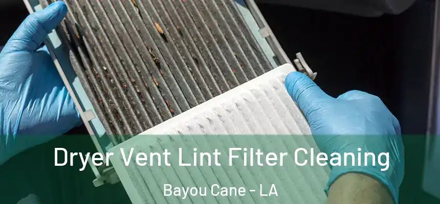  Dryer Vent Lint Filter Cleaning Bayou Cane - LA