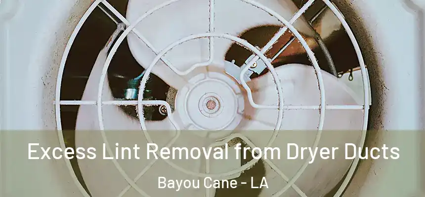 Excess Lint Removal from Dryer Ducts Bayou Cane - LA