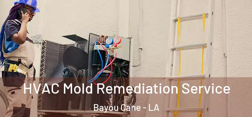 HVAC Mold Remediation Service Bayou Cane - LA