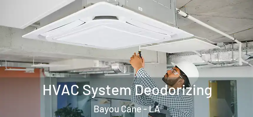 HVAC System Deodorizing Bayou Cane - LA