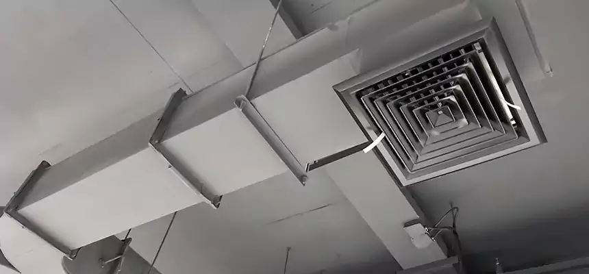 Restorative Allergy Relief Vent Cleaning – Coil, Blower & Housing Detail in Bayou Cane