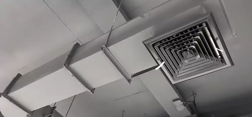 Our Pest Removal From Ducts Services in Bayou Cane, LA