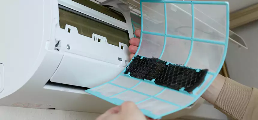 Gentle Ductwork Odor-Control Pet Dander Duct Cleaning in Bayou Cane, LA