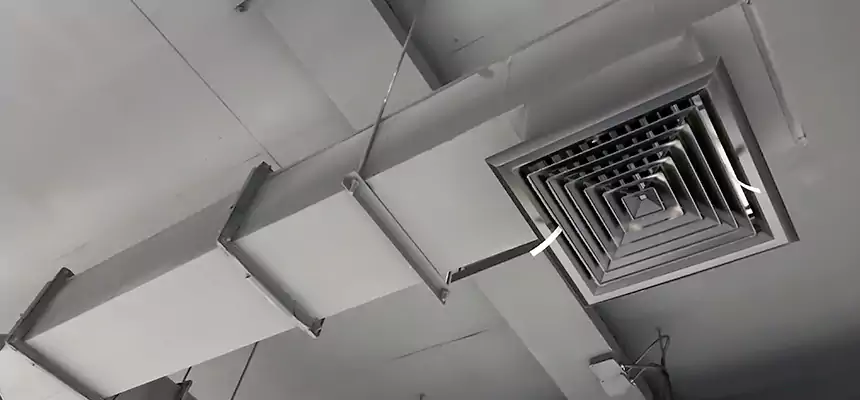 Our Rodent Droppings In Vents Services in Bayou Cane, LA