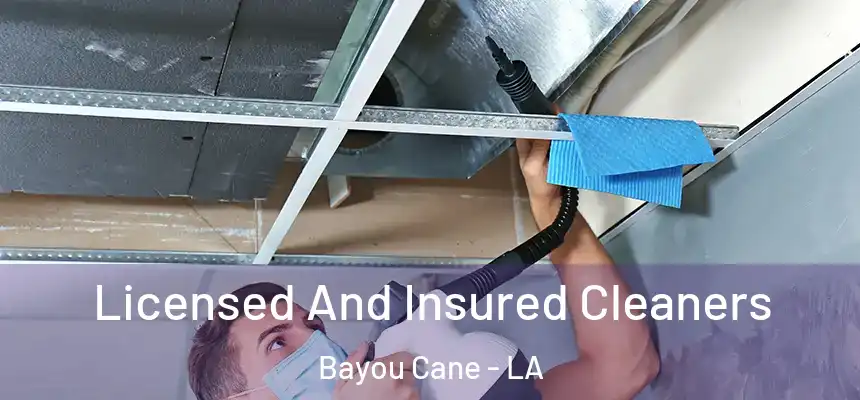  Licensed And Insured Cleaners Bayou Cane - LA