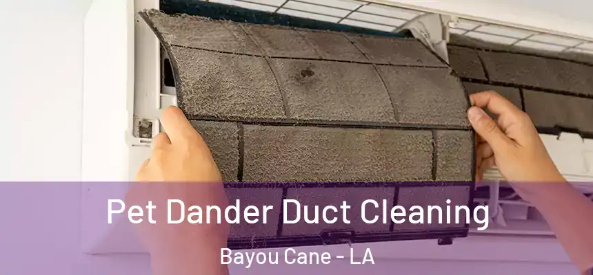  Pet Dander Duct Cleaning Bayou Cane - LA