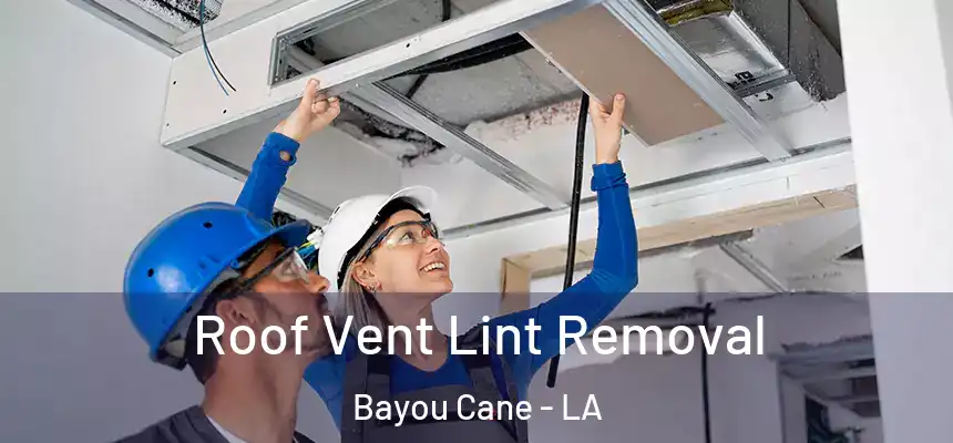 Roof Vent Lint Removal Bayou Cane - LA
