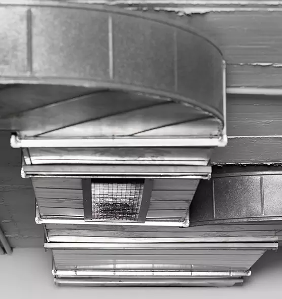 Professional Air Duct Pet Hair Removal in Bayou Cane, LA