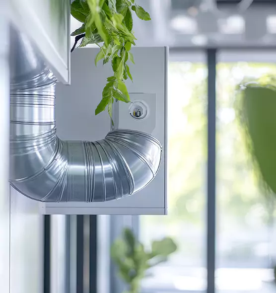 Professional Eco-Safe Dryer Vent Cleaning in Bayou Cane, LA