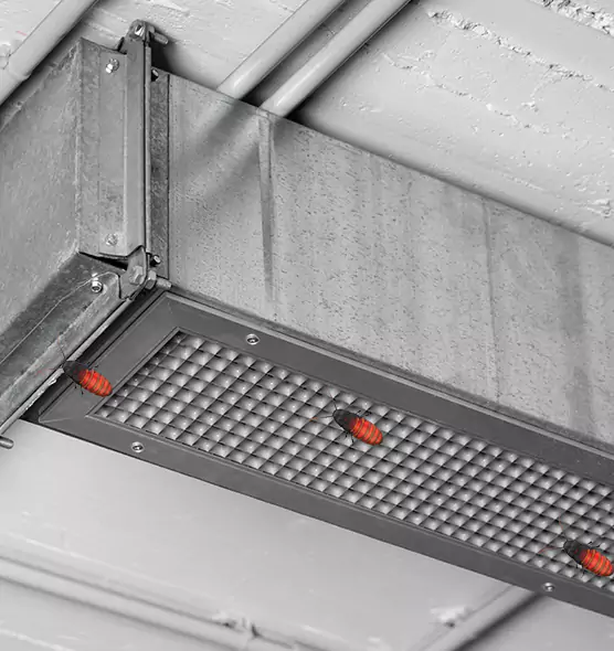 Affordable Insect Removal from Air Ducts in Bayou Cane, LA