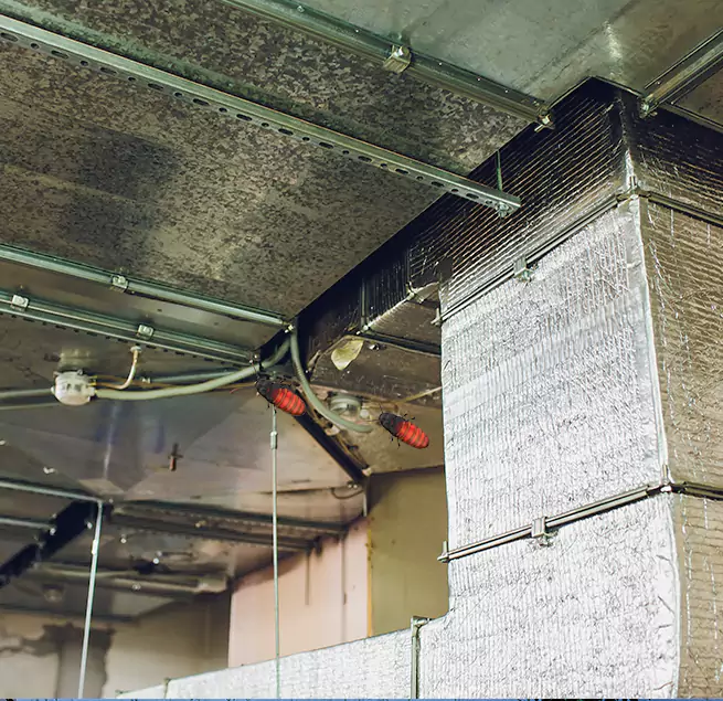 Why Homeowners & Businesses Trust Us in Bayou Cane, LA?