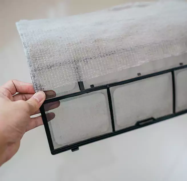 Why Homeowners & Businesses Trust Us in Bayou Cane, LA?