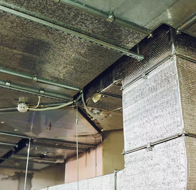 Why Homeowners & Businesses Trust Us in Bayou Cane, LA?